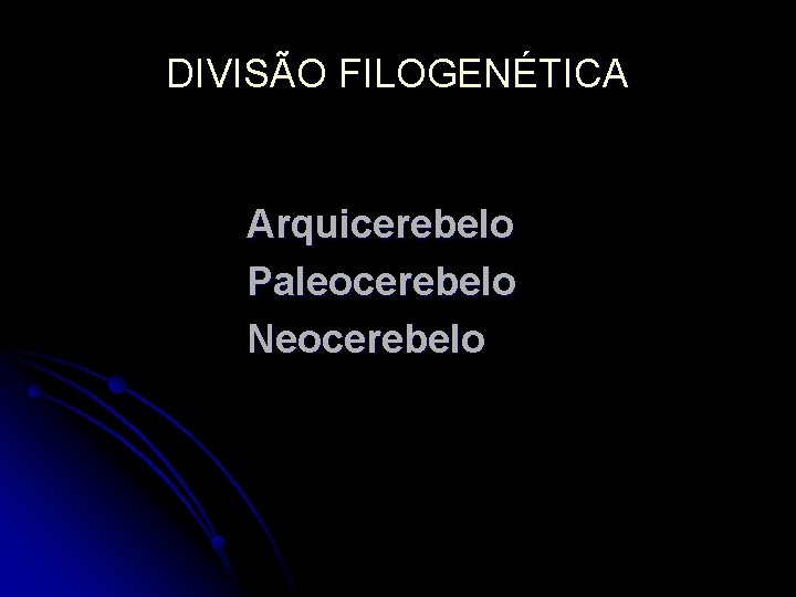 DIVISÃO FILOGENÉTICA Arquicerebelo Paleocerebelo Neocerebelo 