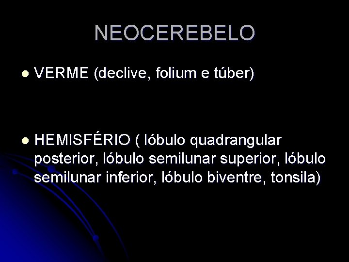 NEOCEREBELO l VERME (declive, folium e túber) l HEMISFÉRIO ( lóbulo quadrangular posterior, lóbulo