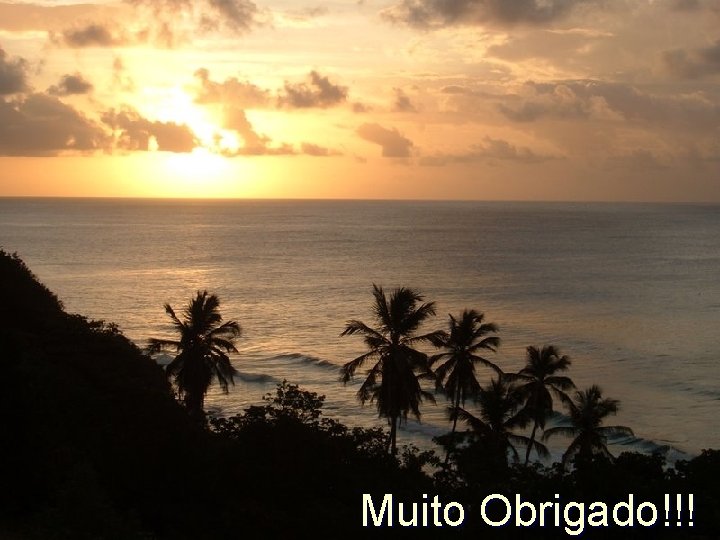 Muito Obrigado!!! 