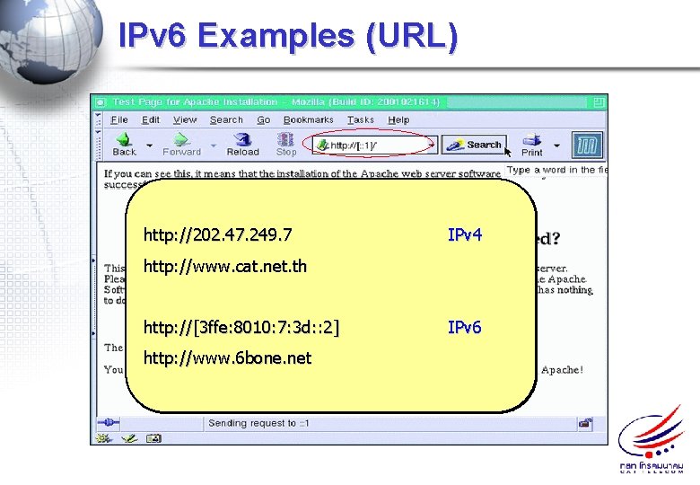 IPv 6 Examples (URL) http: //202. 47. 249. 7 IPv 4 http: //www. cat.