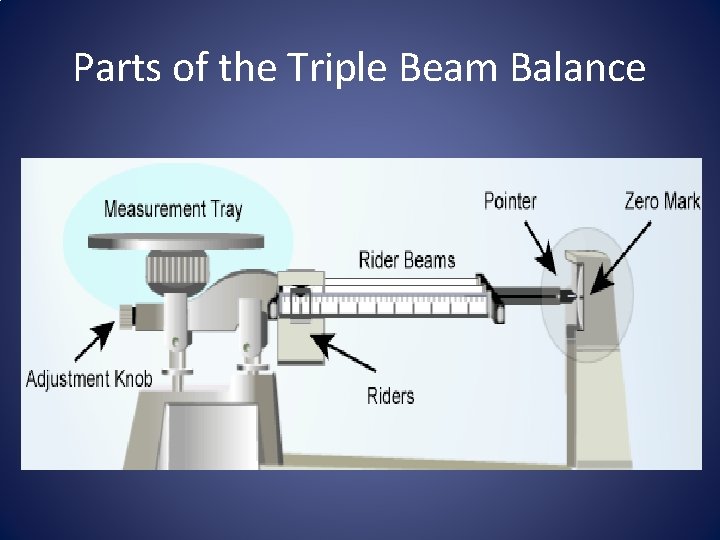 Parts of the Triple Beam Balance 