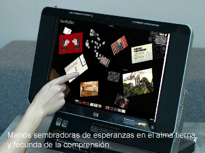 Manos sembradoras de esperanzas en el alma tierna y fecunda de la comprensión. 