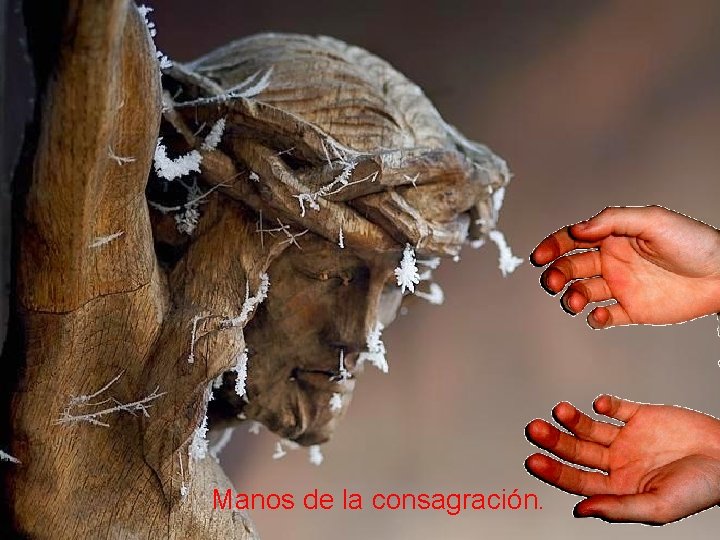 Manos de la consagración. 