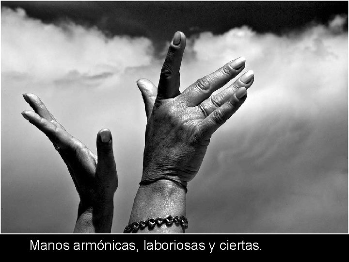 Manos armónicas, laboriosas y ciertas. 
