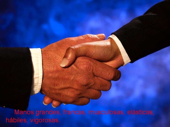 Manos grandes, francas, musculosas, elásticas, hábiles, vigorosas. 