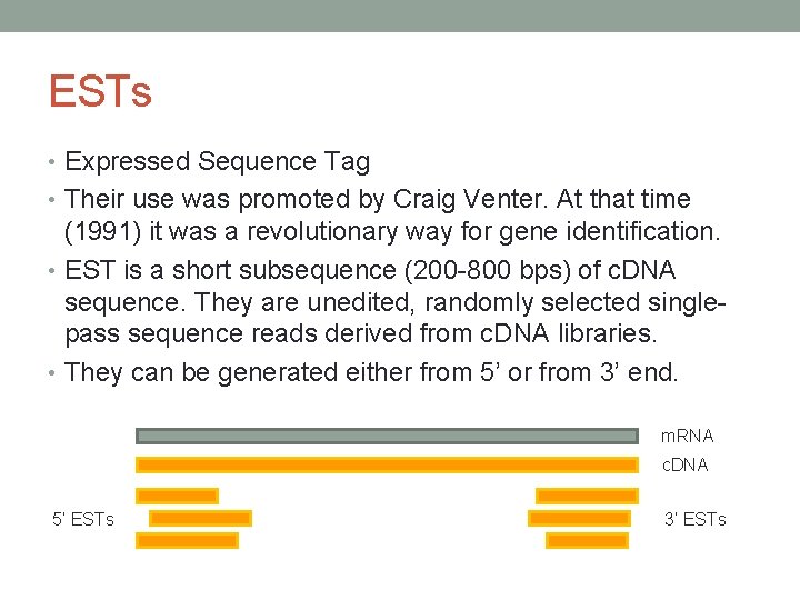 ESTs • Expressed Sequence Tag • Their use was promoted by Craig Venter. At