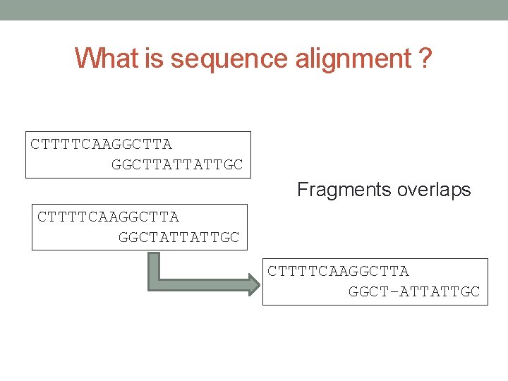 What is sequence alignment ? CTTTTCAAGGCTTATTATTGC Fragments overlaps CTTTTCAAGGCTTA GGCTATTATTGC CTTTTCAAGGCTTA GGCT-ATTATTGC 