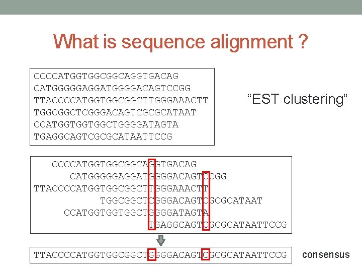 What is sequence alignment ? CCCCATGGTGGCGGCAGGTGACAG CATGGGGGAGGATGGGGACAGTCCGG TTACCCCATGGTGGCGGCTTGGGAAACTT TGGCGGCTCGGGACAGTCGCGCATAAT CCATGGTGGTGGCTGGGGATAGTA TGAGGCAGTCGCGCATAATTCCG “EST clustering” CCCCATGGTGGCGGCAGGTGACAG