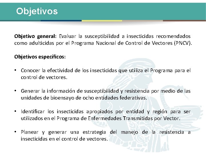 Objetivos Objetivo general: Evaluar la susceptibilidad a insecticidas recomendados como adulticidas por el Programa