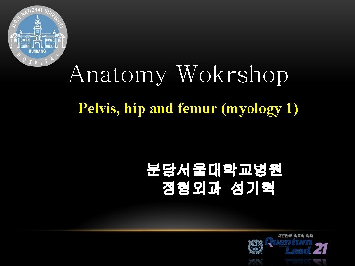 Anatomy Wokrshop Pelvis, hip and femur (myology 1) 분당서울대학교병원 정형외과 성기혁 