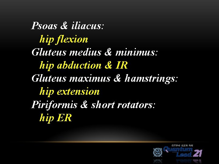 Psoas & iliacus: hip flexion Gluteus medius & minimus: hip abduction & IR Gluteus