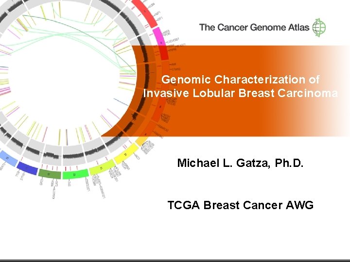 Genomic Characterization of Invasive Lobular Breast Carcinoma Michael L. Gatza, Ph. D. TCGA Breast