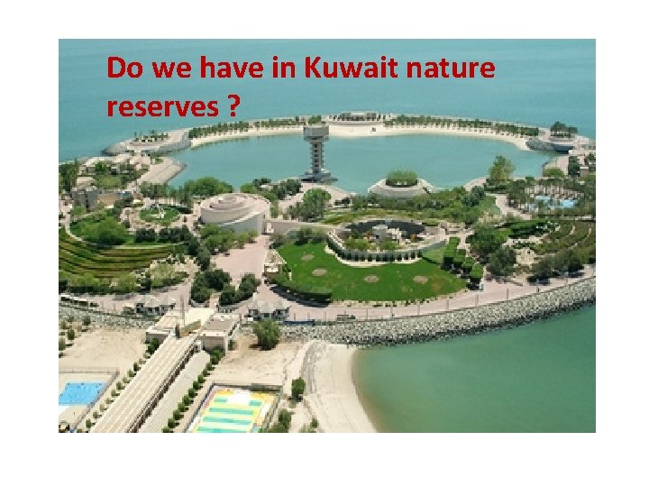 Do we have in Kuwait nature reserves ? 