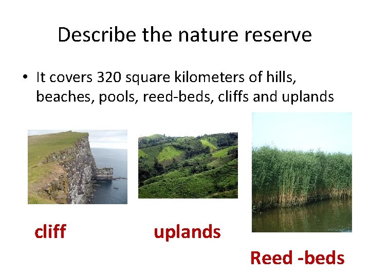 Describe the nature reserve • It covers 320 square kilometers of hills, beaches, pools,