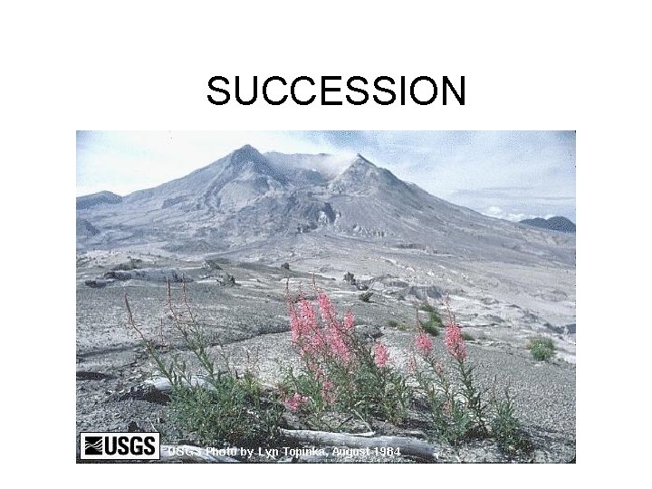 SUCCESSION 