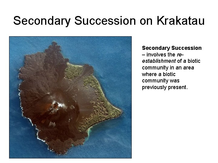 Secondary Succession on Krakatau Secondary Succession – involves the reestablishment of a biotic community