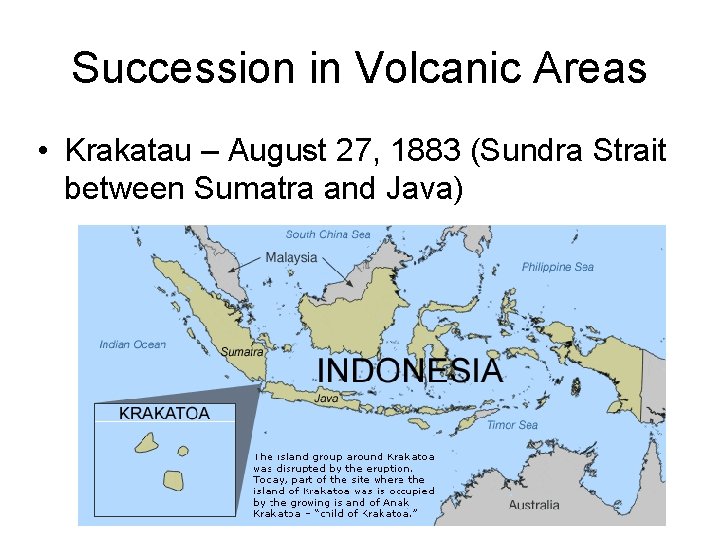 Succession in Volcanic Areas • Krakatau – August 27, 1883 (Sundra Strait between Sumatra
