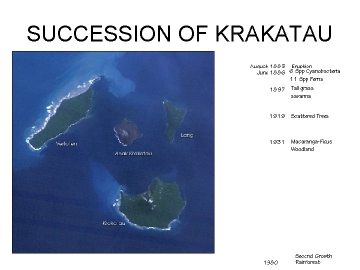 SUCCESSION OF KRAKATAU 