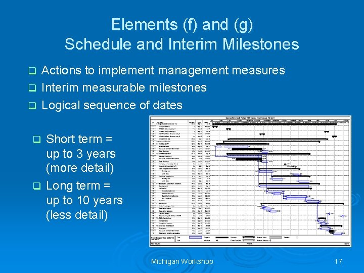 Elements (f) and (g) Schedule and Interim Milestones Actions to implement management measures q Elements (f) and (g) Schedule and Interim Milestones Actions to implement management measures q