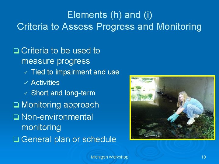 Elements (h) and (i) Criteria to Assess Progress and Monitoring q Criteria to be