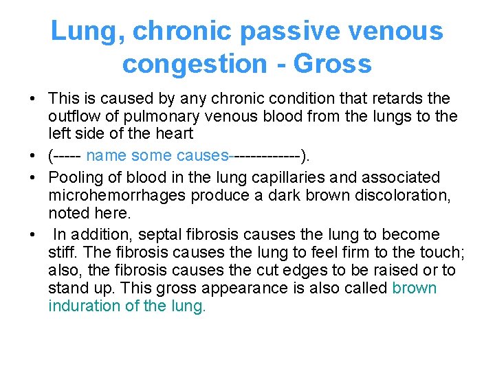 Lung, chronic passive venous congestion - Gross • This is caused by any chronic