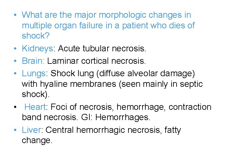  • What are the major morphologic changes in multiple organ failure in a