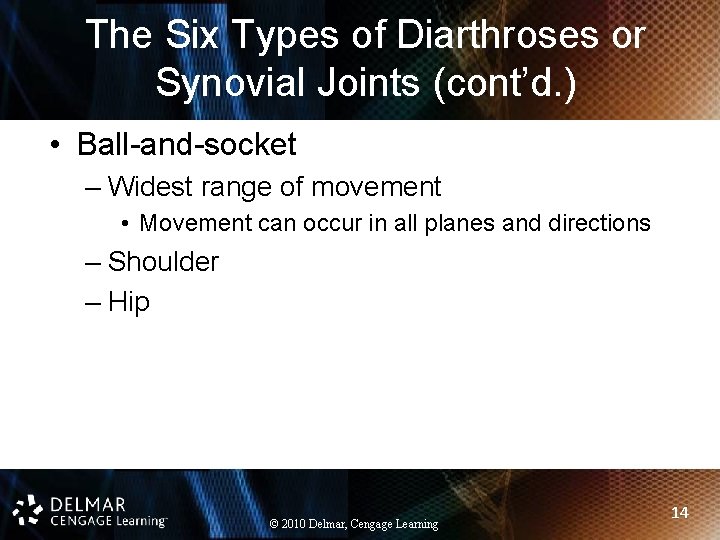 The Six Types of Diarthroses or Synovial Joints (cont’d. ) • Ball-and-socket – Widest