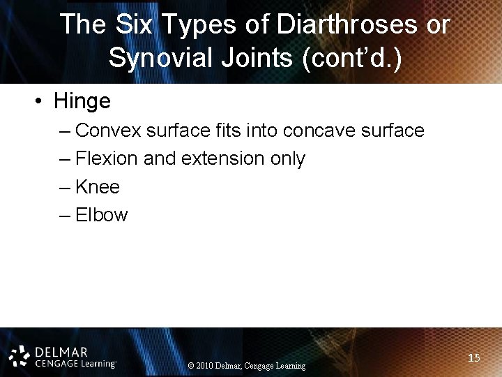 The Six Types of Diarthroses or Synovial Joints (cont’d. ) • Hinge – Convex