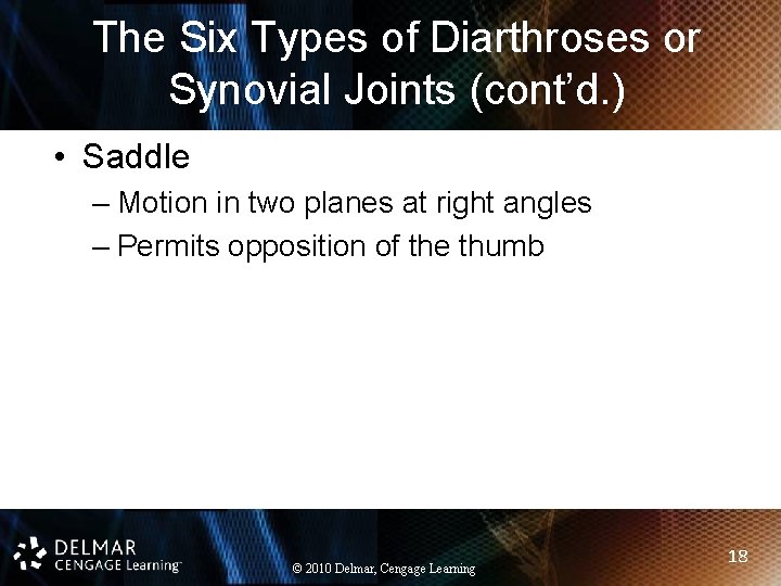 The Six Types of Diarthroses or Synovial Joints (cont’d. ) • Saddle – Motion