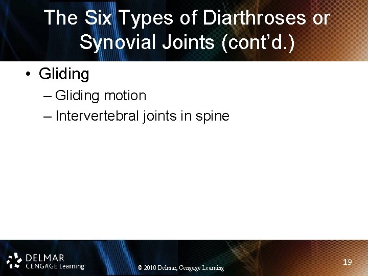 The Six Types of Diarthroses or Synovial Joints (cont’d. ) • Gliding – Gliding