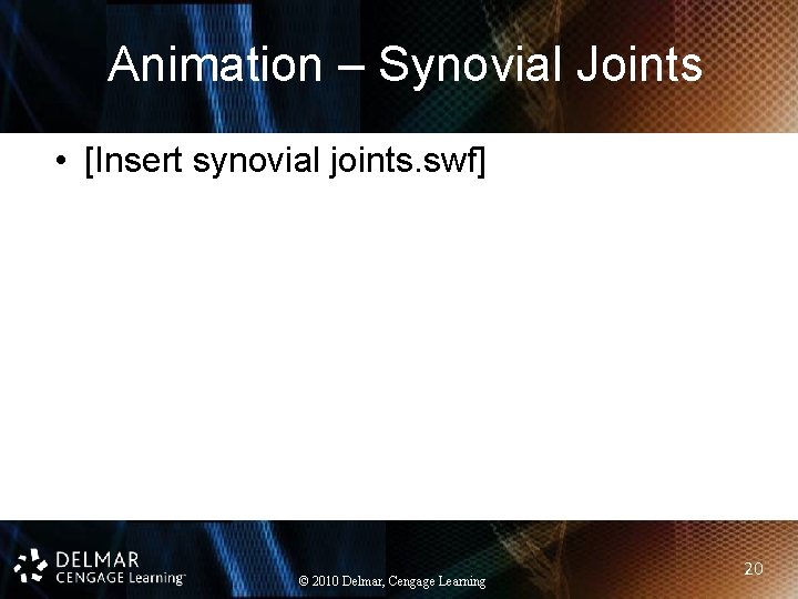 Animation – Synovial Joints • [Insert synovial joints. swf] © 2010 Delmar, Cengage Learning