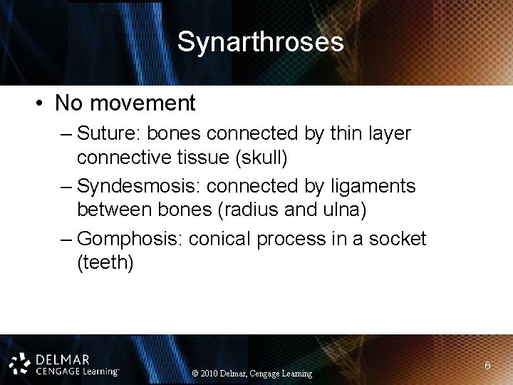 Synarthroses • No movement – Suture: bones connected by thin layer connective tissue (skull)