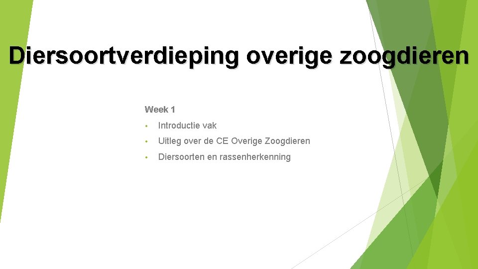 Diersoortverdieping overige zoogdieren Week 1 • Introductie vak • Uitleg over de CE Overige