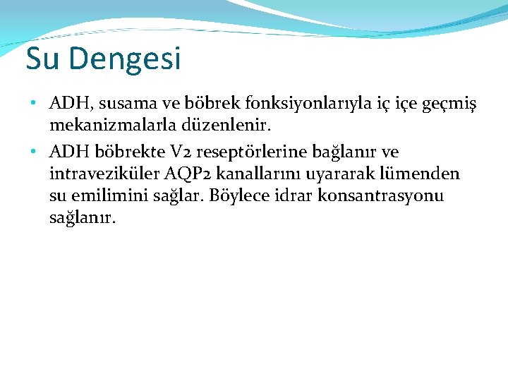 Su Dengesi • ADH, susama ve böbrek fonksiyonlarıyla iç içe geçmiş mekanizmalarla düzenlenir. •