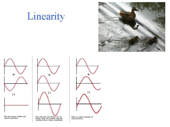 Linearity 