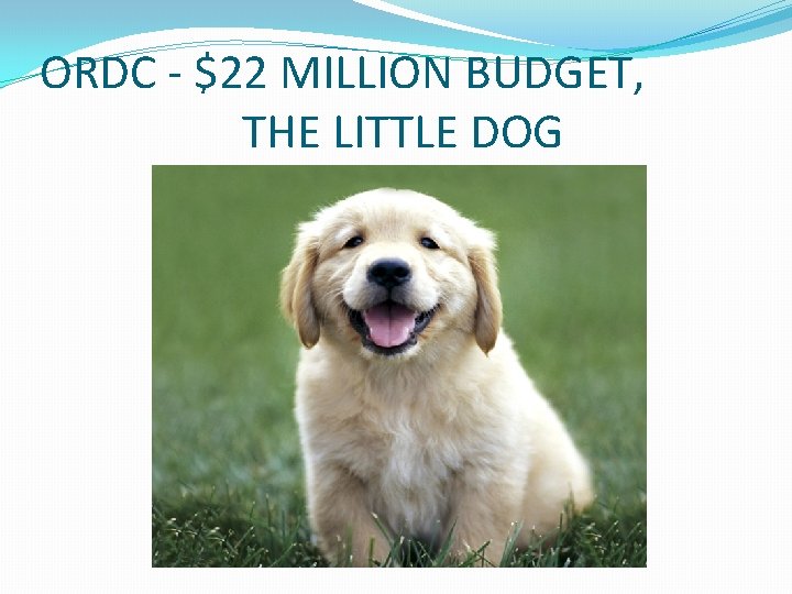 ORDC - $22 MILLION BUDGET, THE LITTLE DOG ORDC - $22 MILLION BUDGET, THE LITTLE DOG