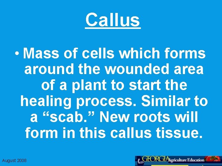 Callus • Mass of cells which forms around the wounded area of a plant