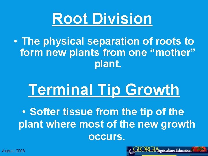Root Division • The physical separation of roots to form new plants from one