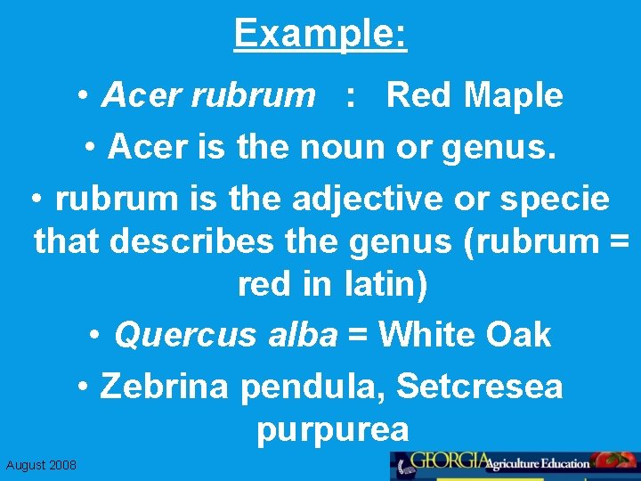Example: • Acer rubrum : Red Maple • Acer is the noun or genus.