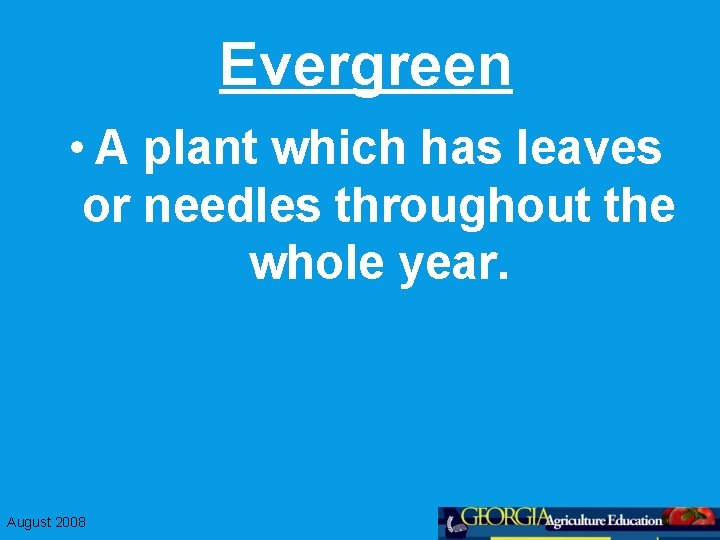 Evergreen • A plant which has leaves or needles throughout the whole year. August
