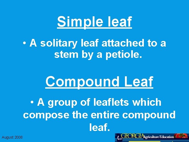 Simple leaf • A solitary leaf attached to a stem by a petiole. Compound