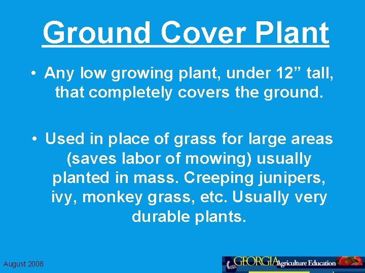 Ground Cover Plant • Any low growing plant, under 12” tall, that completely covers