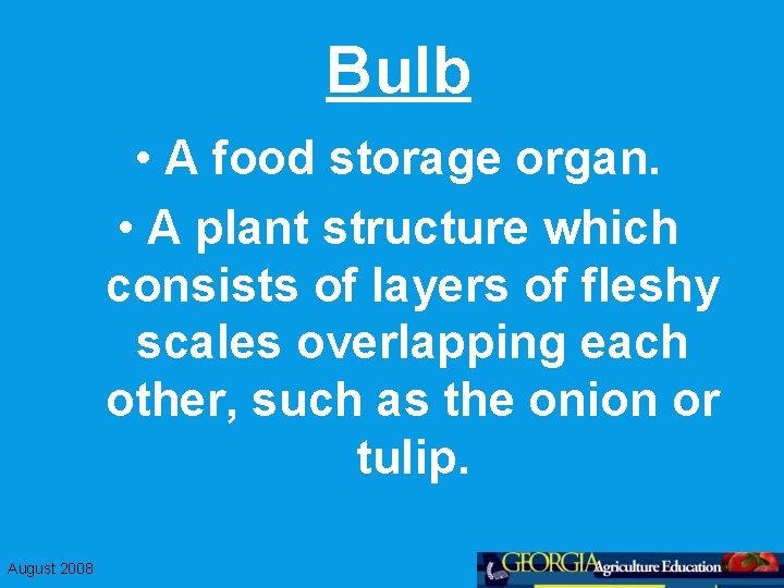 Bulb • A food storage organ. • A plant structure which consists of layers