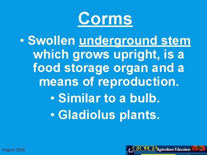 Corms • Swollen underground stem which grows upright, is a food storage organ and
