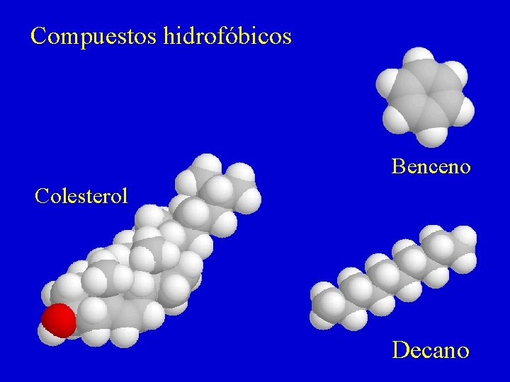 Compuestos hidrofóbicos Benceno Colesterol Decano Compuestos hidrofóbicos Benceno Colesterol Decano