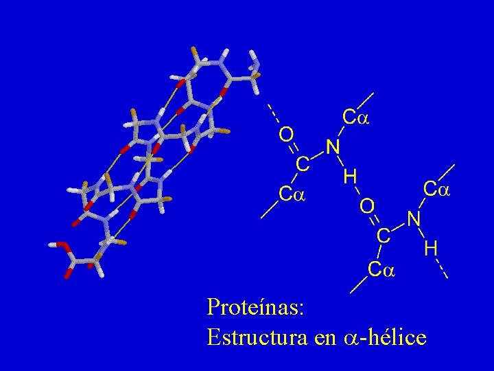 Proteínas: Estructura en a-hélice 