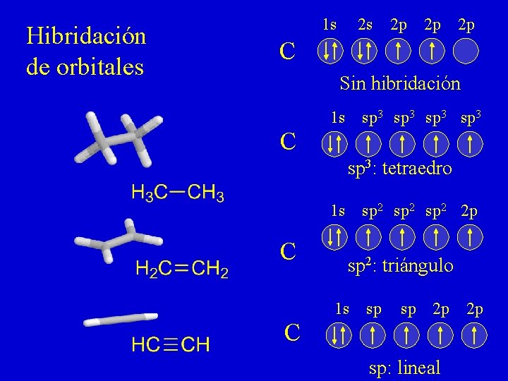 Hibridación de orbitales 1 s 2 s 2 p 2 p 2 p C