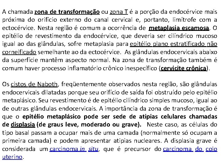 A chamada zona de transformação ou zona T é a porção da endocérvice mais