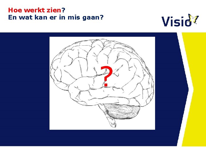 Hoe werkt zien? En wat kan er in mis gaan? ? Hoe werkt zien? En wat kan er in mis gaan? ?