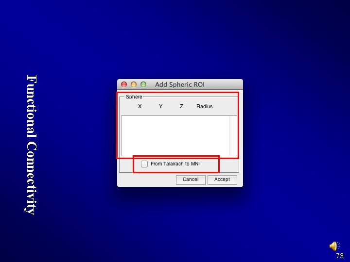 Functional Connectivity 73 